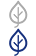 低碳環(huán)保